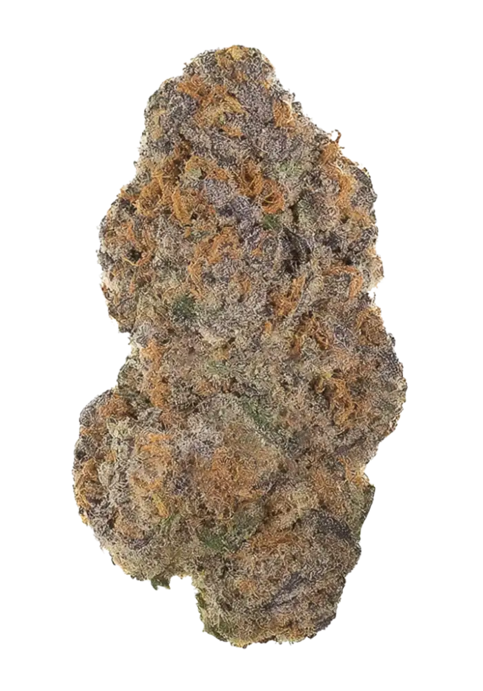 Apple Fritter