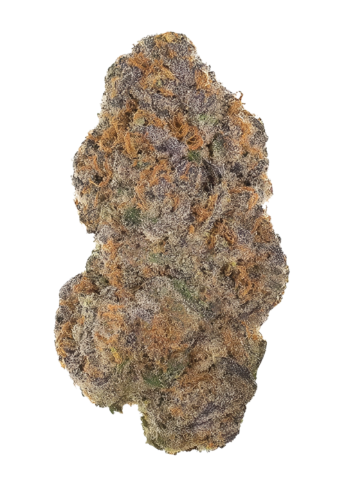 Apple Fritter