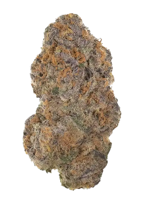 Apple Fritter