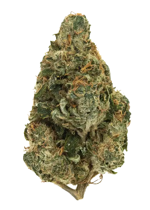 Tangie Cookies