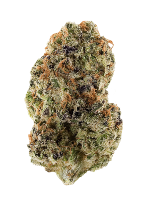 Chocolate Chunk