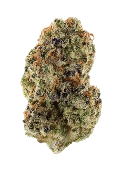 Chocolate Chunk