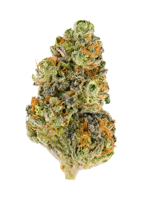 Platinum Kush Mints