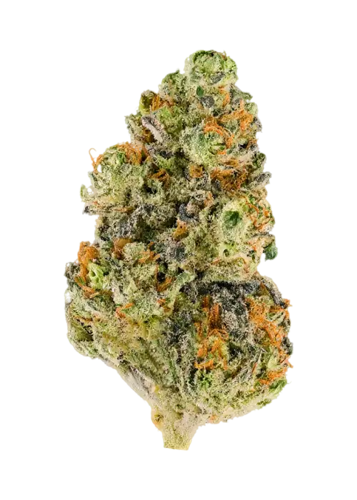 Platinum Kush Mints