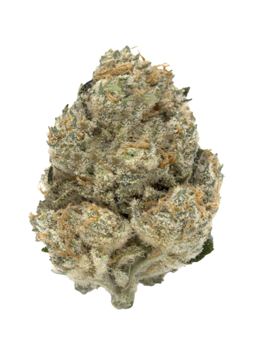Gorilla Cookies