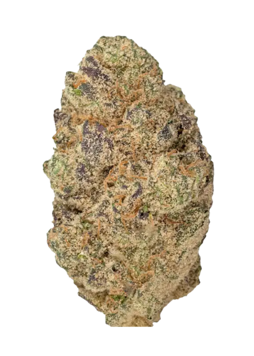 Blue Alien
