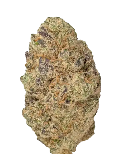 Blue Alien