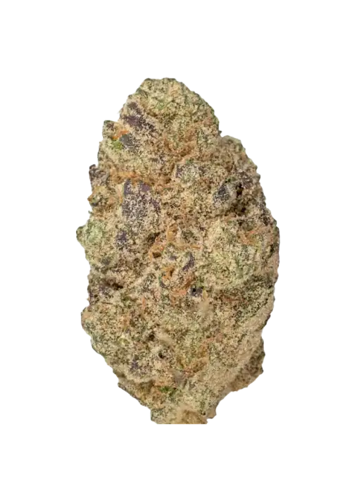 Blue Alien