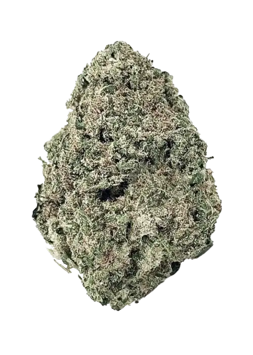 Black Diesel