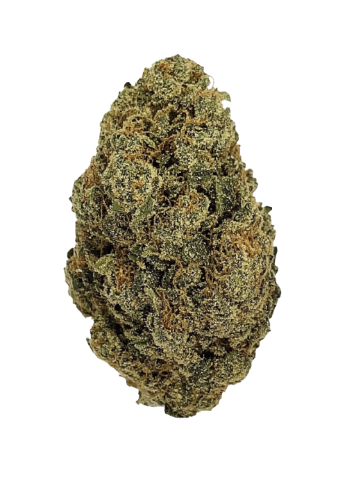 Gelato 45