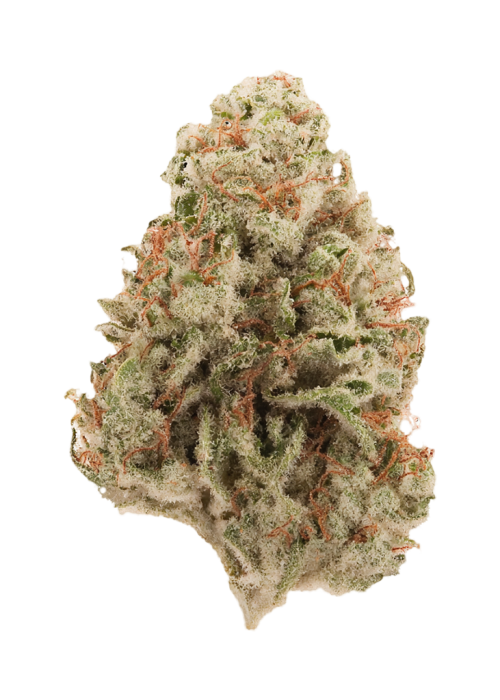 White Strawberry