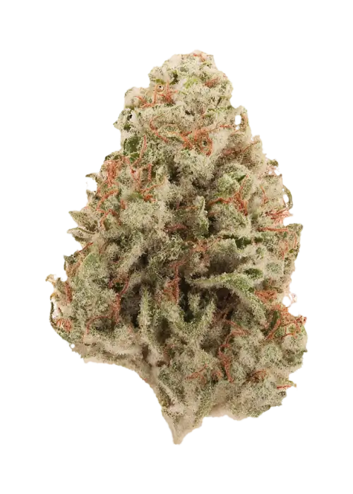 White Strawberry