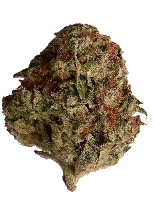 Chocolate Malawi