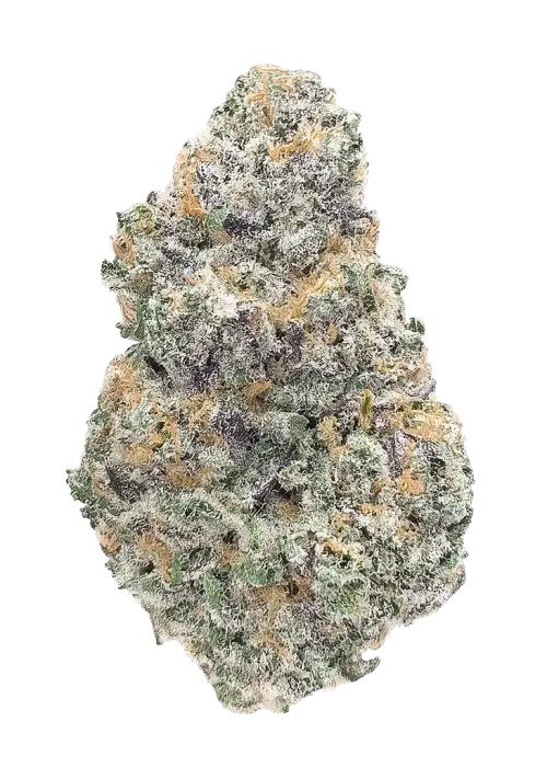Sour Banana