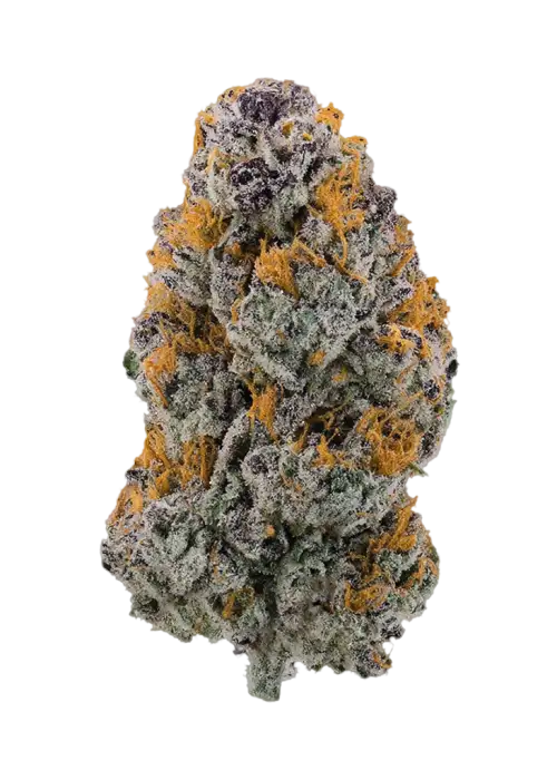 Purple Biscotti