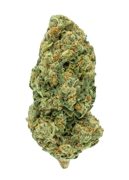 Electric Lemon