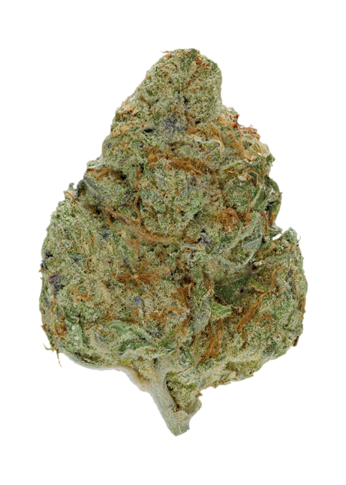 Orange Herijuana