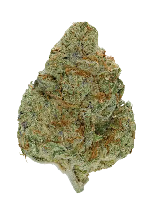 Orange Herijuana