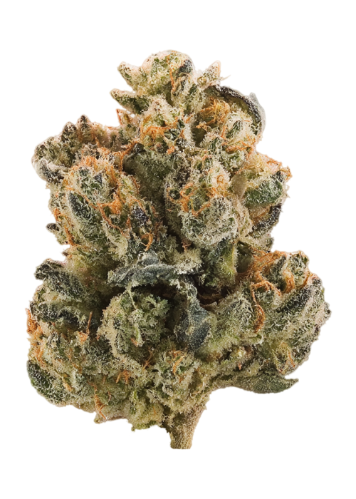 Ghost Candy