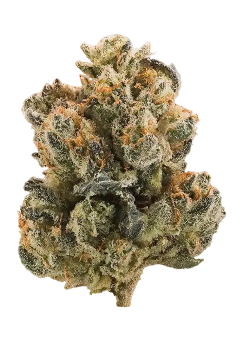Ghost Candy