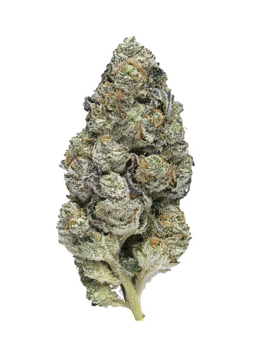 Mule Fuel