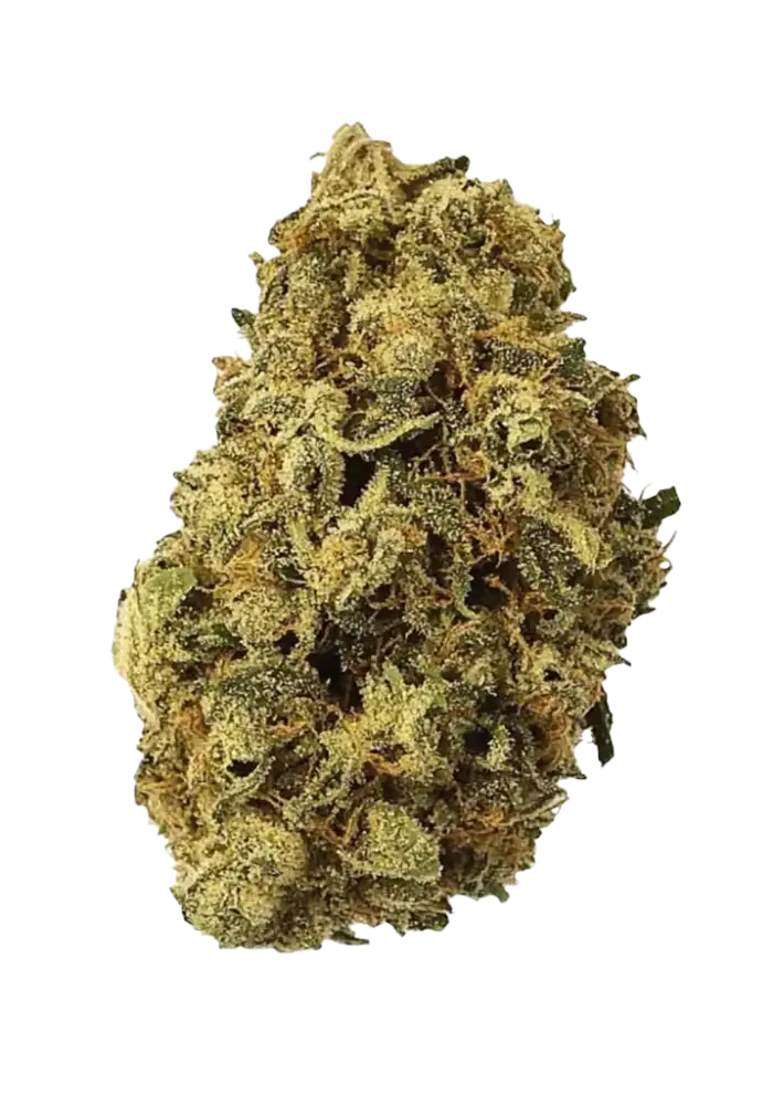 Durban Poison