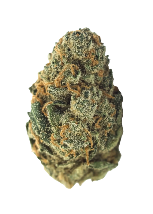 Blueberry Kush