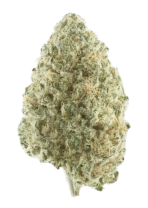 Mexican Sativa