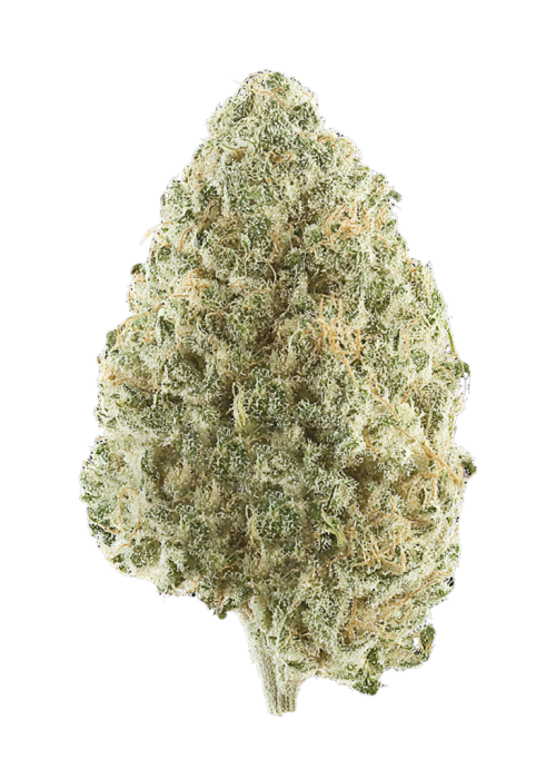 Mexican Sativa
