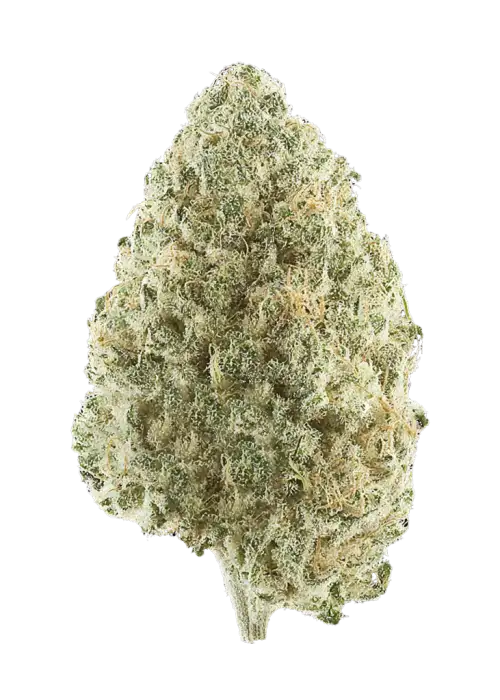 Mexican Sativa