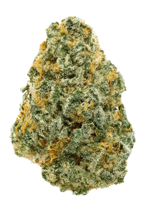 Star Kush