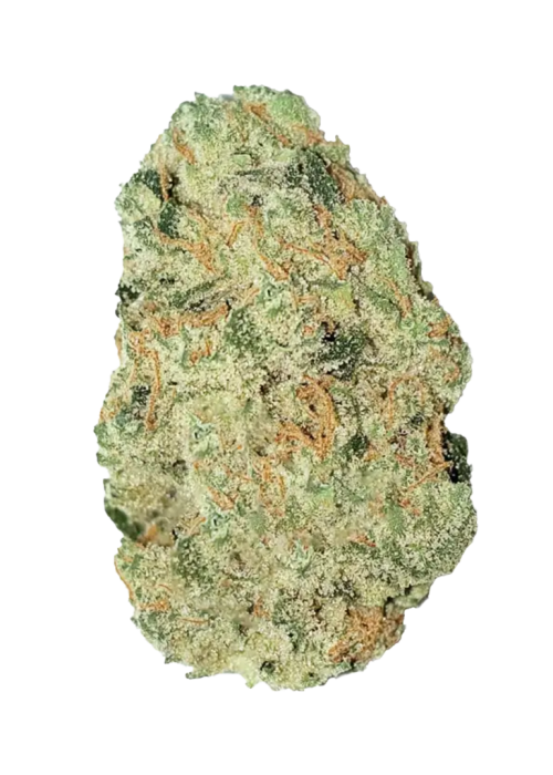 LSD
