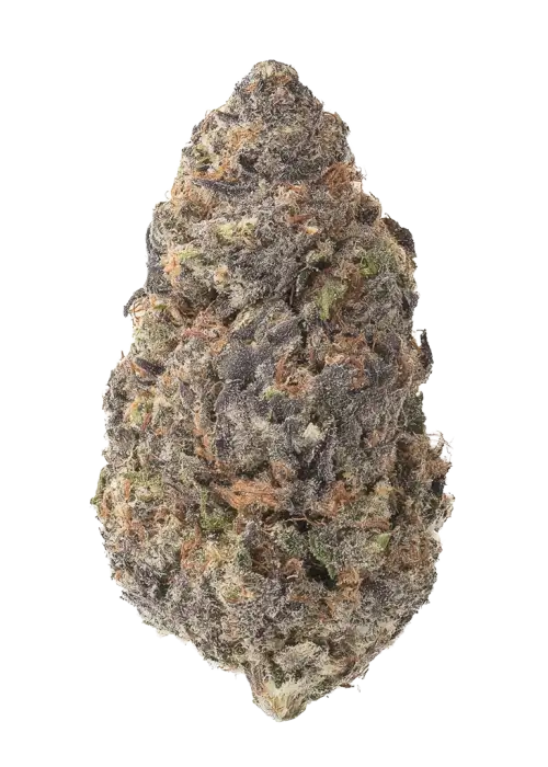 Tang Breath