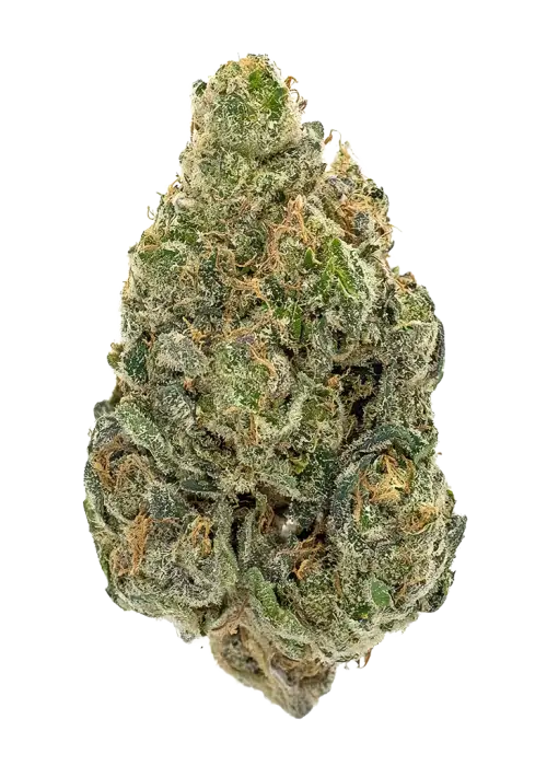 Commerce City Kush