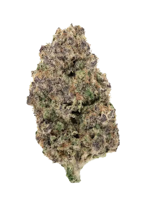 Royal Cherry Diesel