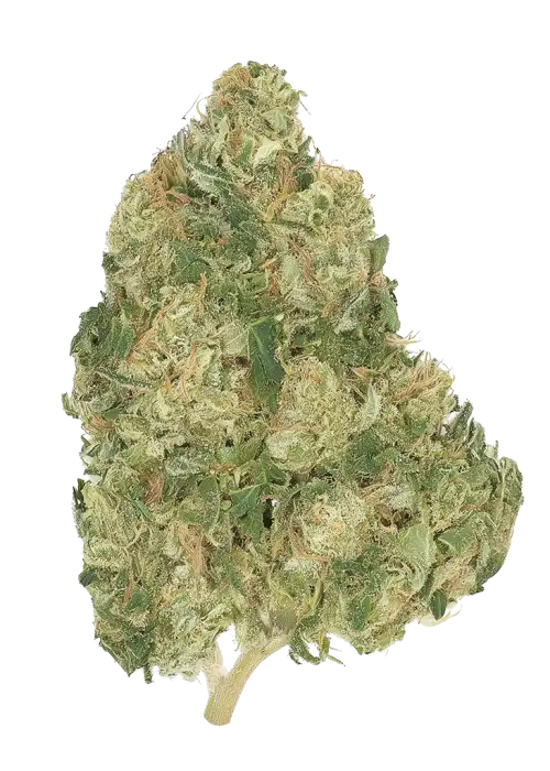 Lemon Vuitton