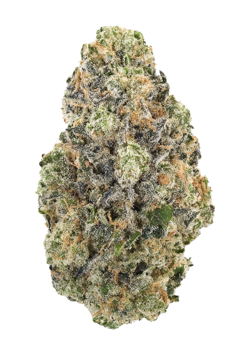 Solomon Grundy