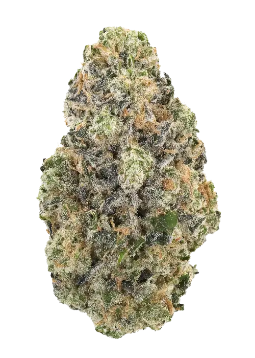 Solomon Grundy