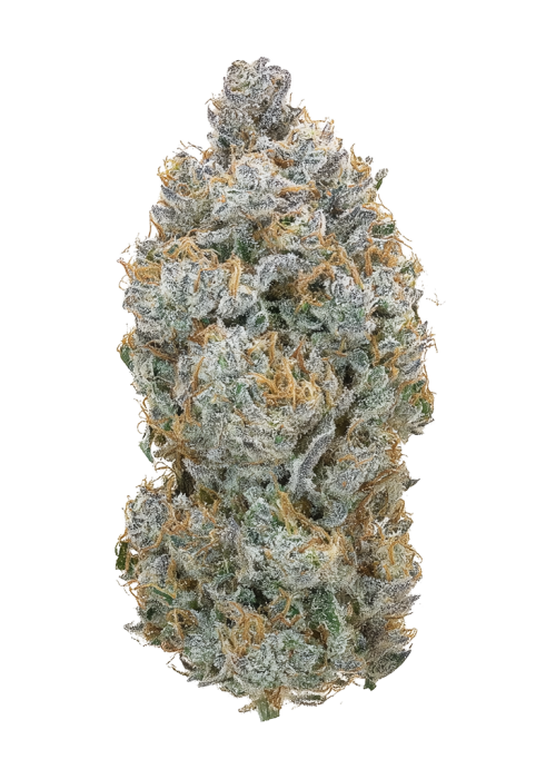 Glass Slipper