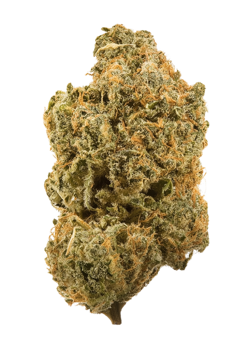 805 Glue
