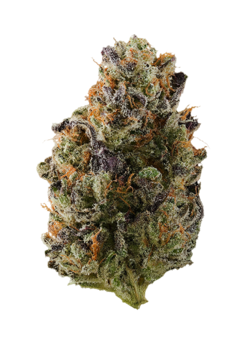Blackberry Diesel