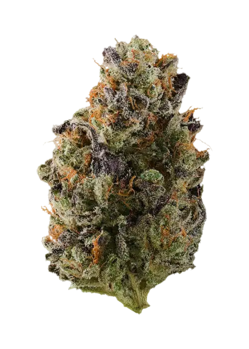 Blackberry Diesel