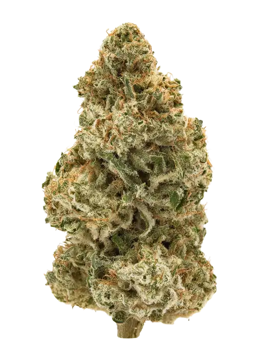 High-C