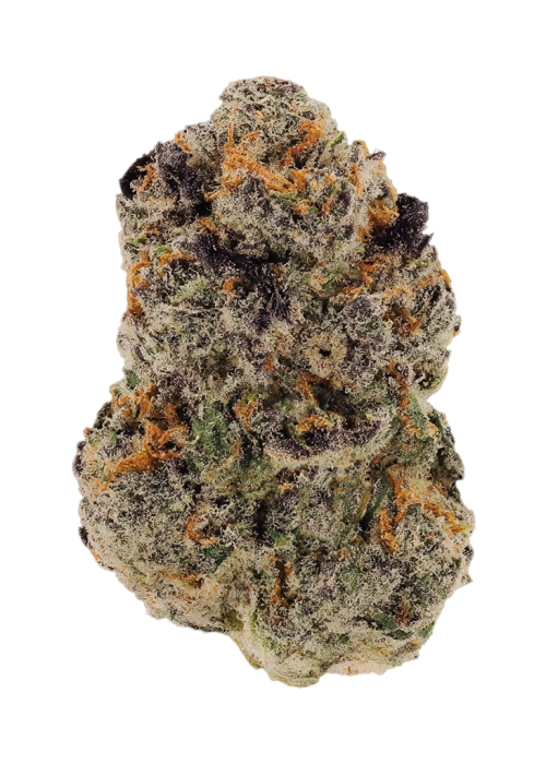 G Purps