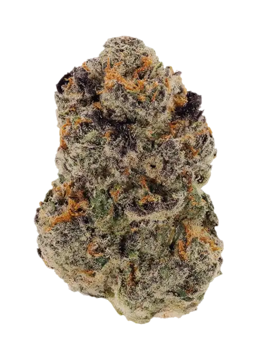G Purps