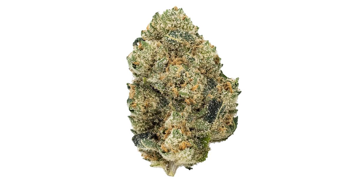 Apple Tartz Cannabis Strain Information Growdiaries