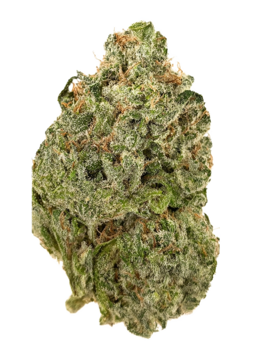 Nitro Cookies