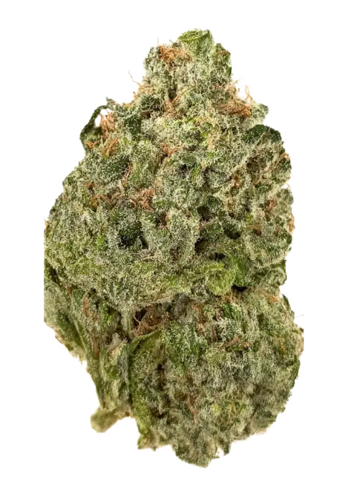 Nitro Cookies