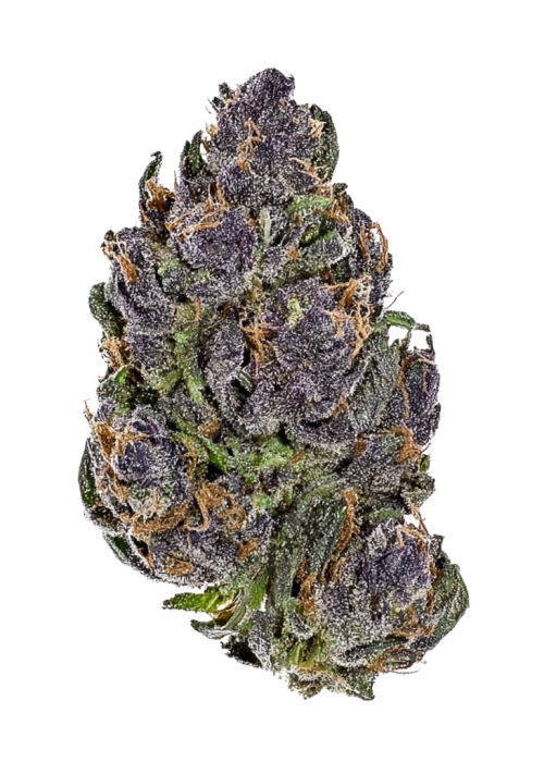 California Black Roze