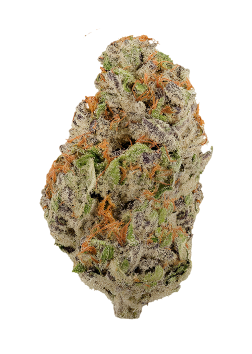 Orange Julius